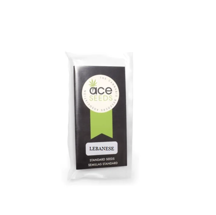 Lebanese van ACE Seeds