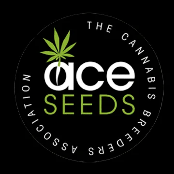 Early Ethiopia van ACE Seeds