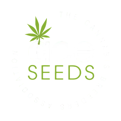Early Golden Tiger van ACE Seeds