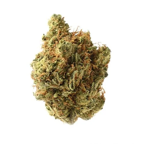 Amnesia Haze van Amsterdam Genetics