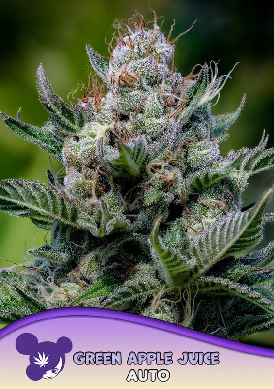 Green Apple Juice van Anesia Seeds