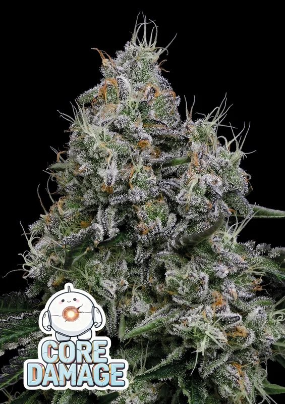 Core Damage van Anesia Seeds