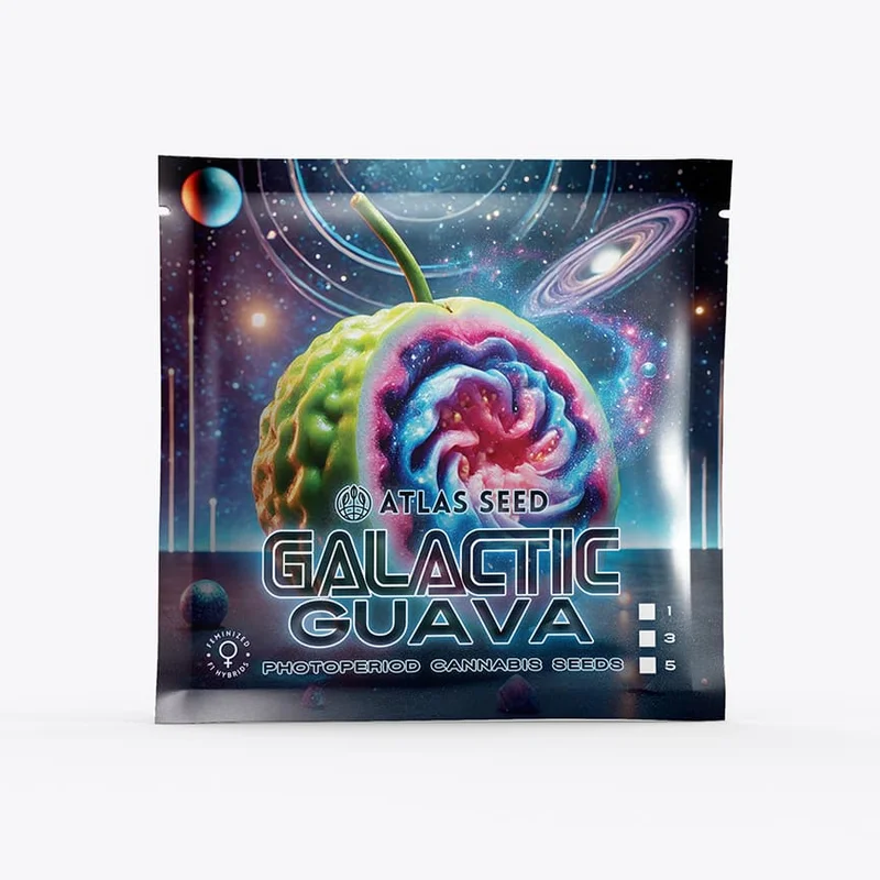 Galactic Guava by Atlas Seed
