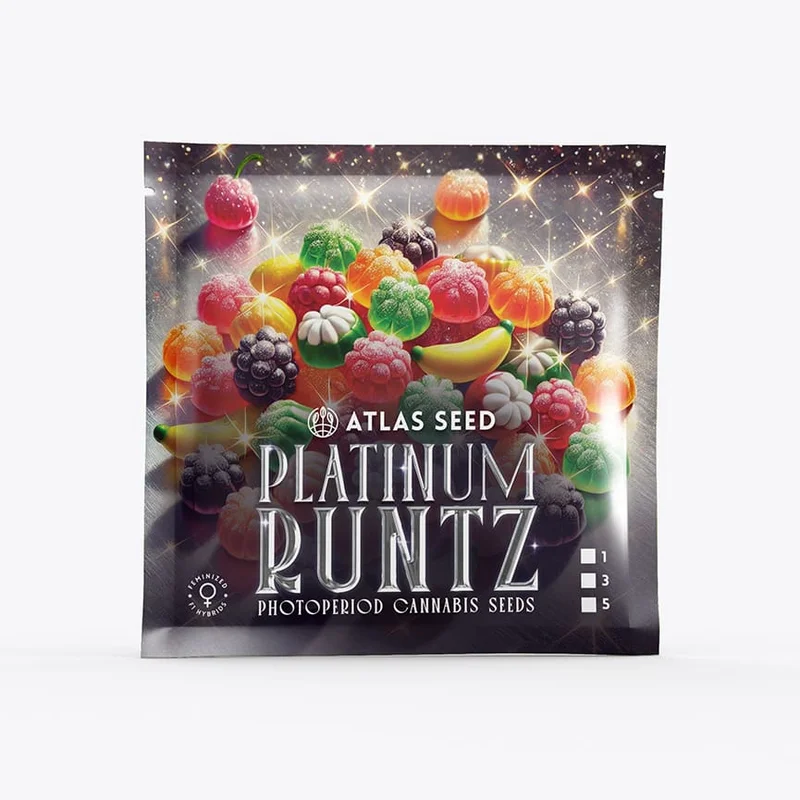 Platinum Runtz by Atlas Seed