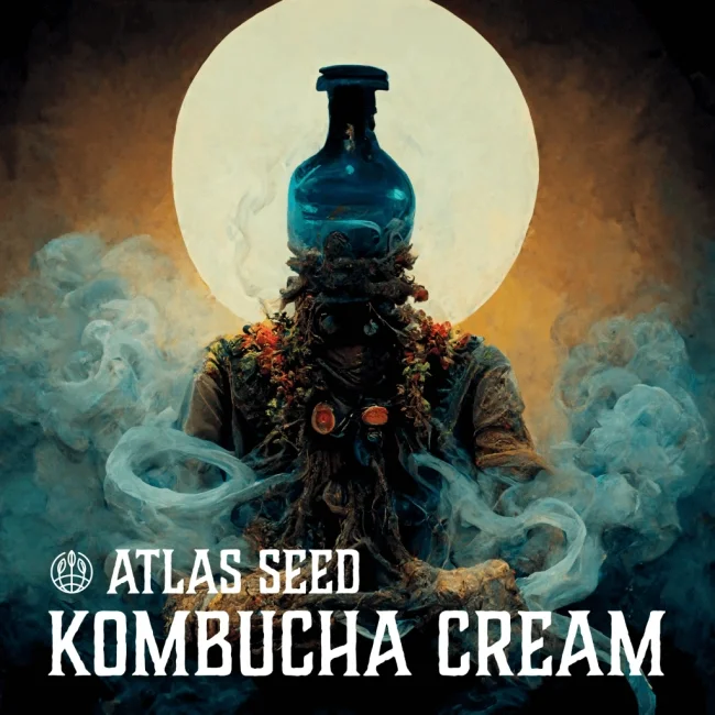 Kombucha Cream van Atlas Seed