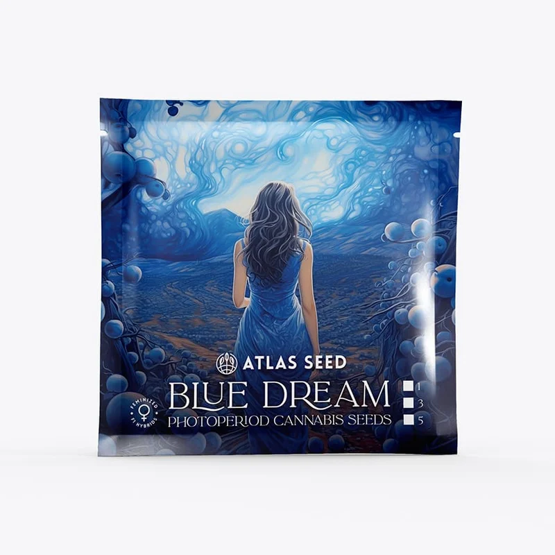 Blue Dream Full Term by Atlas Seed