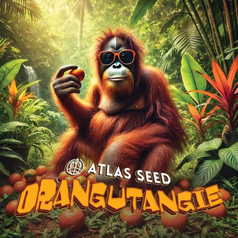 Orangutangie by Atlas Seed