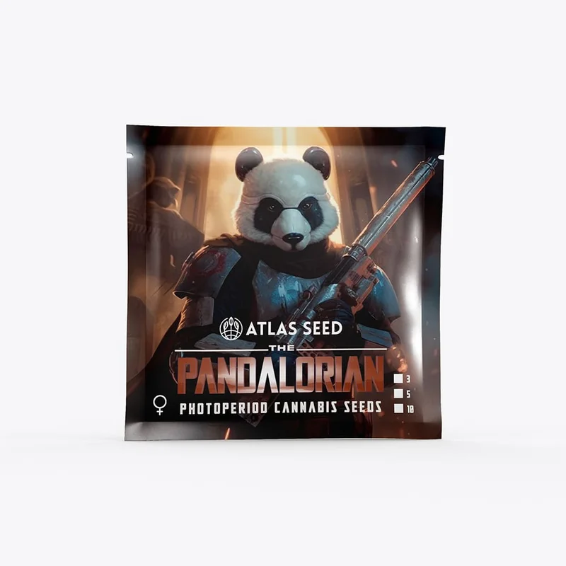 The Pandalorian by Atlas Seed