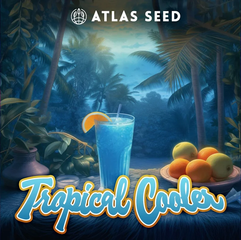 Tropical Cooler by Atlas Seed