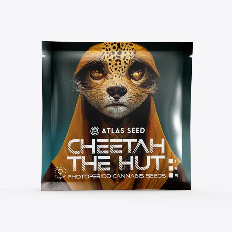 Cheetah the Hut by Atlas Seed