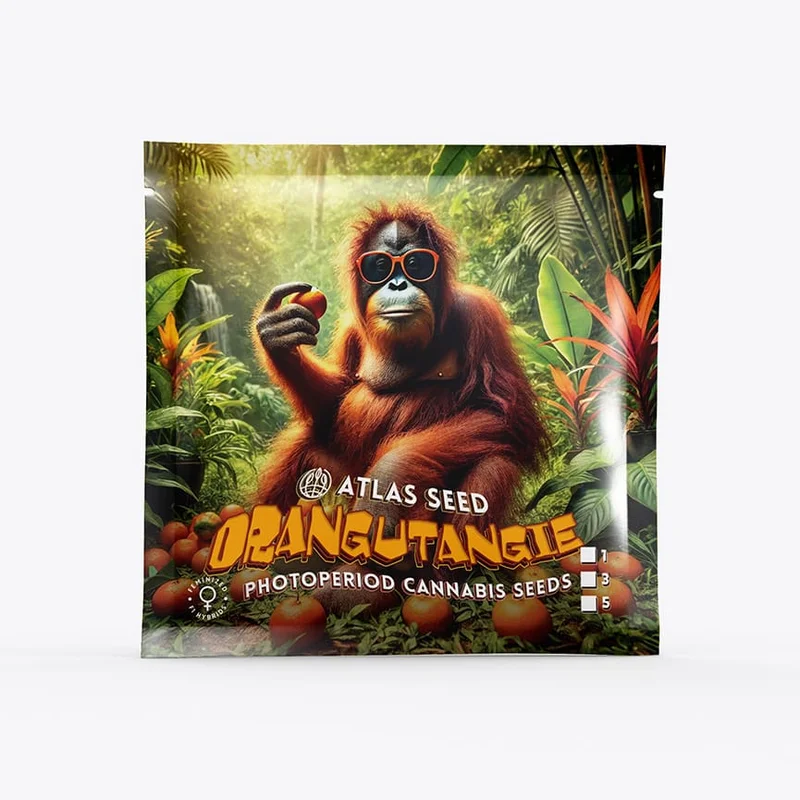 Orangutangie by Atlas Seed