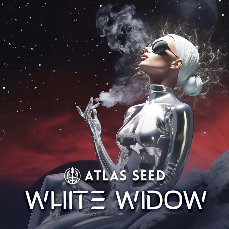 White Widow by Atlas Seed