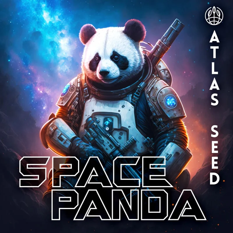 Space Panda by Atlas Seed