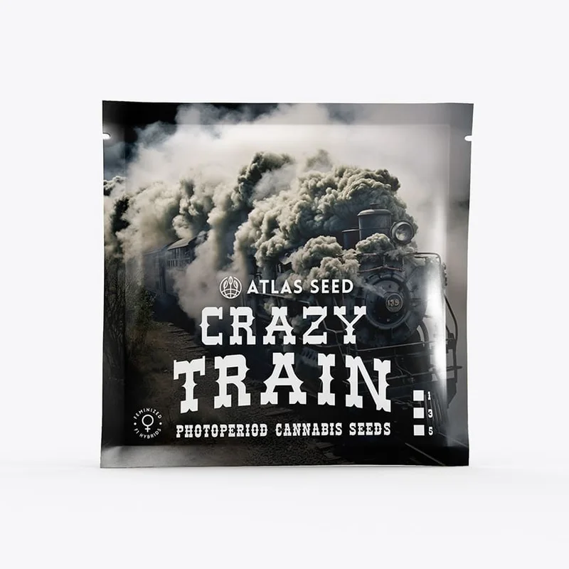 Crazy Train by Atlas Seed