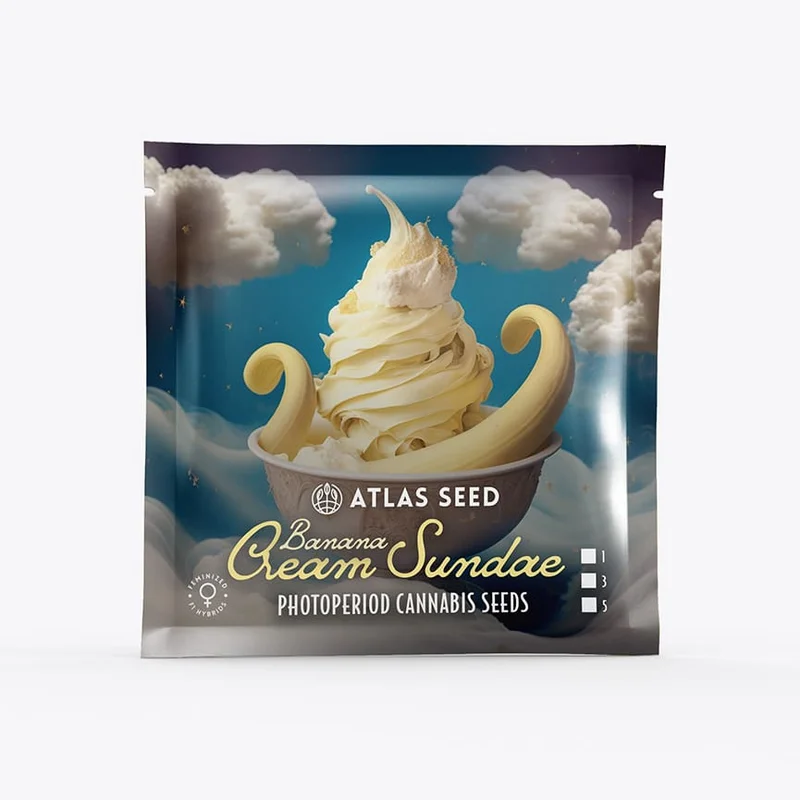 Banana Cream Sundae van Atlas Seed