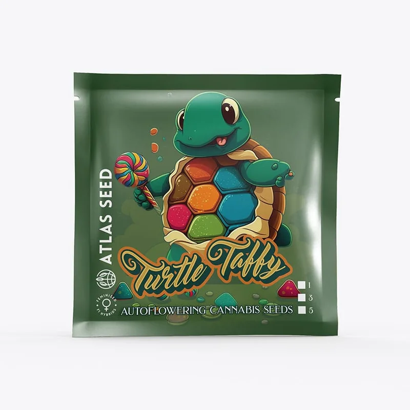 Turtle Taffy van Atlas Seed