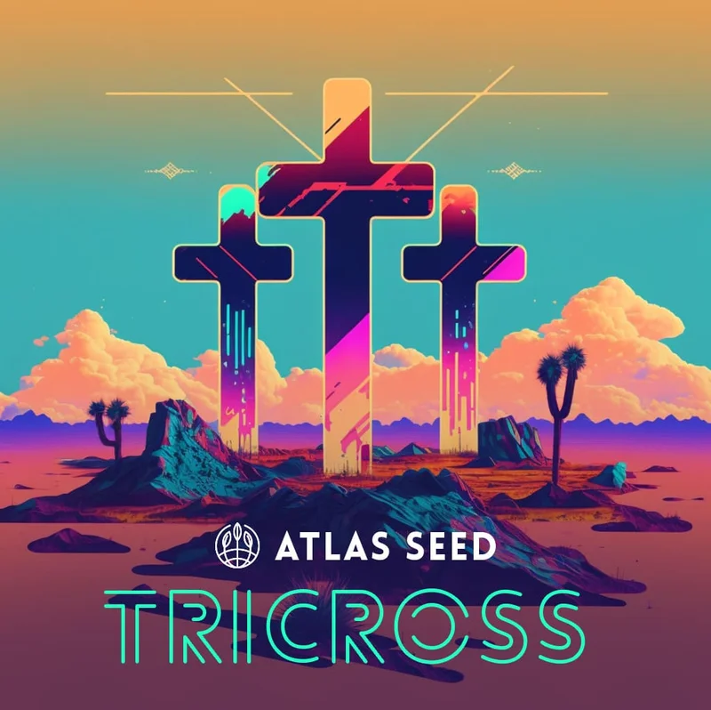 TriCross by Atlas Seed