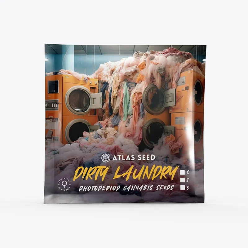 Dirty Laundry by Atlas Seed
