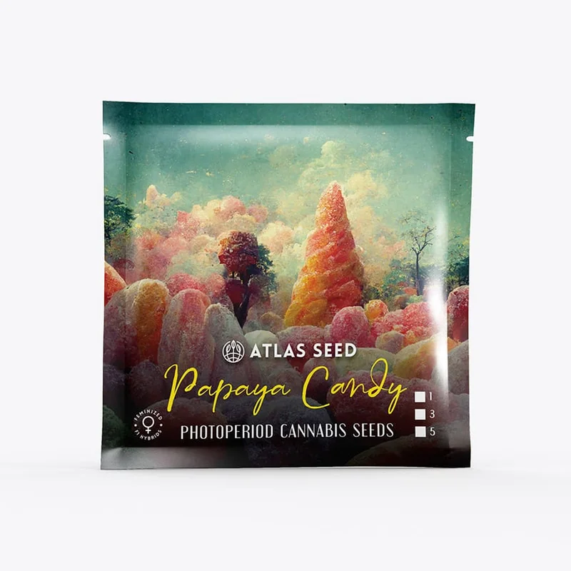 Papaya Candy by Atlas Seed