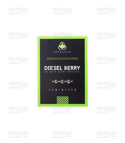 Diesel Berry van Auto Seeds