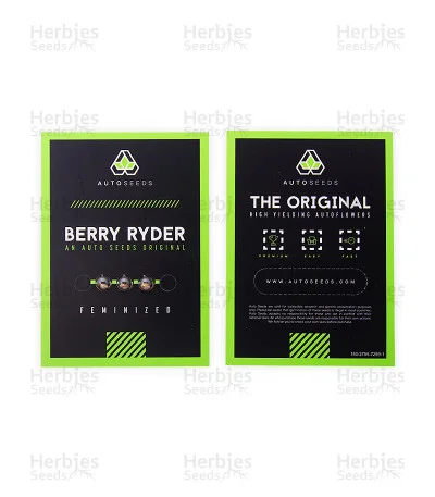 Berry Ryder van Auto Seeds