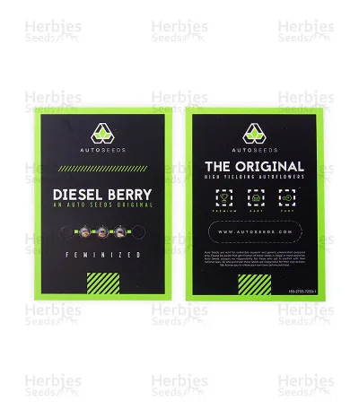 Diesel Berry van Auto Seeds