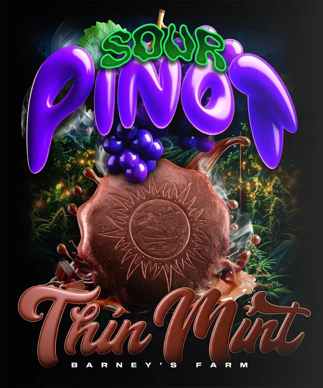 Thin Mint x Sour Pinot van Barney's Farm