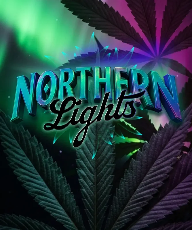 Northern Lights van Barney's Farm