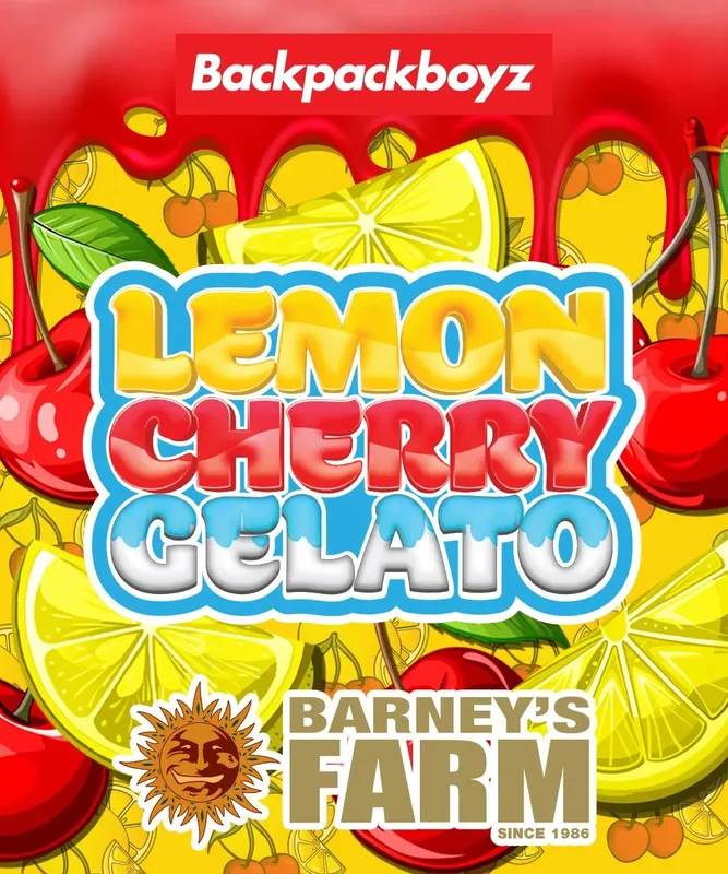 Lemon Cherry Gelato van Barney's Farm