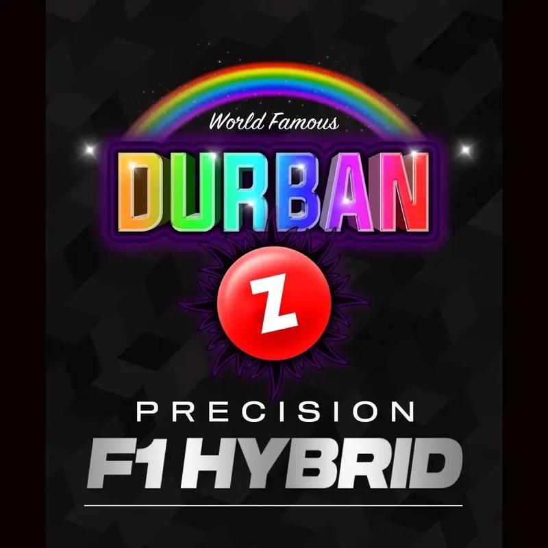 Durban Z F1 van Barney's Farm