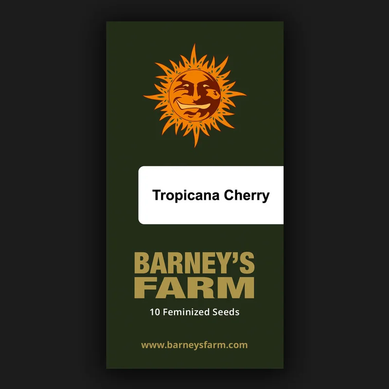 Tropicana Cherry van Barney's Farm