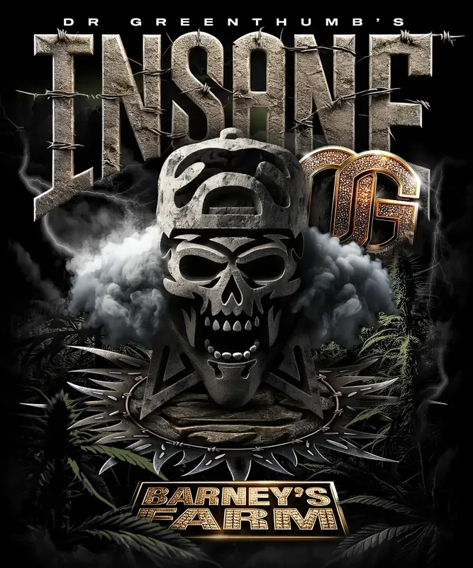 Insane OG van Barney's Farm