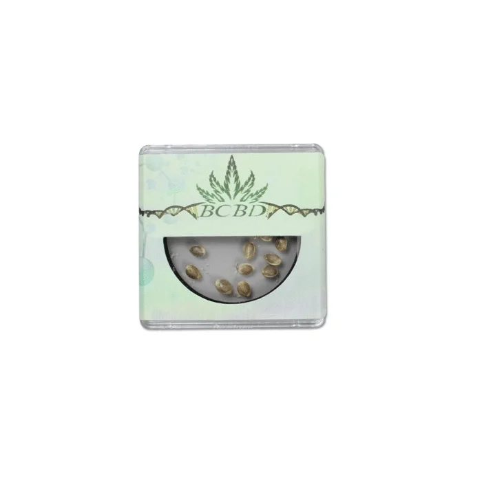 Honey OG van BC Bud Depot