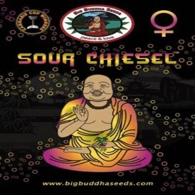 Sour Chiesel van Big Buddha Seeds