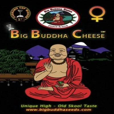 Big Buddha Cheese van Big Buddha Seeds