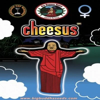 Cheesus van Big Buddha Seeds
