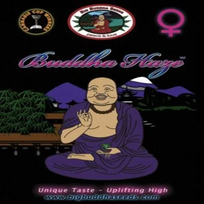 Buddha Haze van Big Buddha Seeds