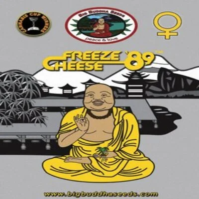 Freeze Cheese 89 van Big Buddha Seeds