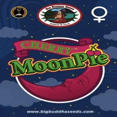 Cherry Moon Pie van Big Buddha Seeds