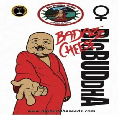 BadAzz Cheese van Big Buddha Seeds
