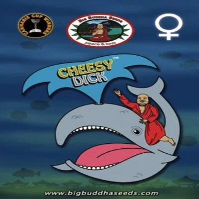 Cheesy Dick van Big Buddha Seeds