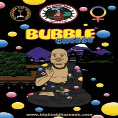 Bubble Cheese van Big Buddha Seeds