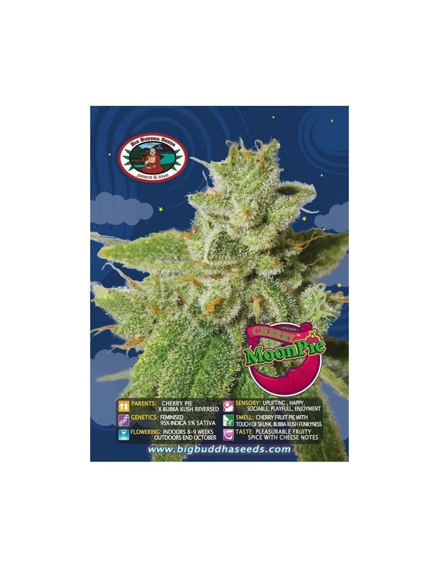 Cherry Moon Pie van Big Buddha Seeds