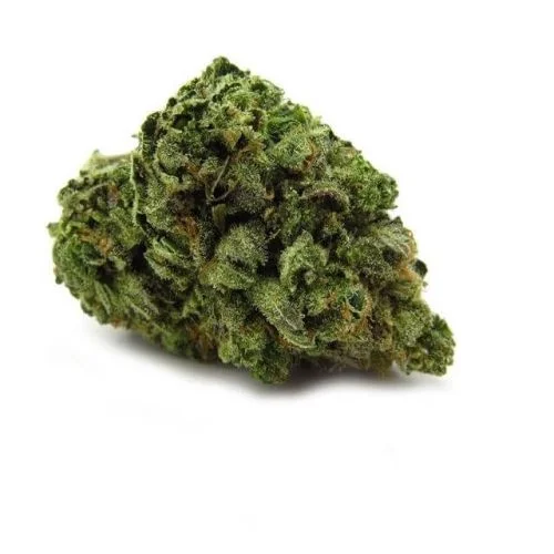 Big Buddha Cheese van Big Buddha Seeds