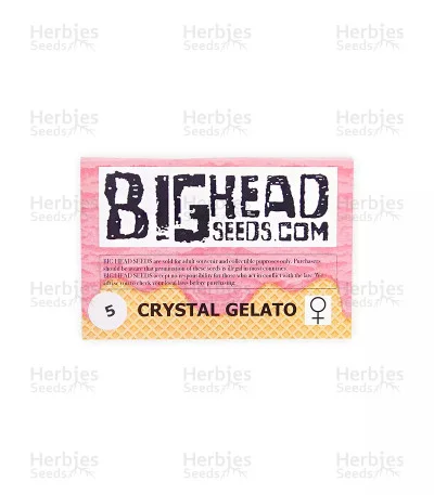 Crystal Gelato van Big Head Seeds