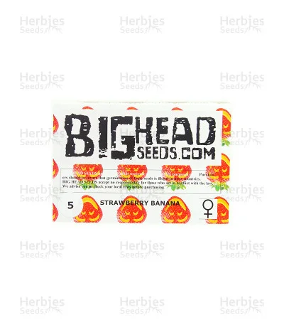 Strawberry Banana van Big Head Seeds