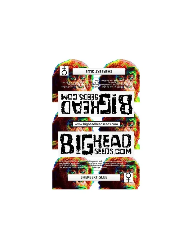 Sherbert Glue van Big Head Seeds