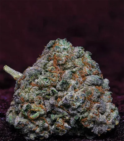 Fire OG Kush van Big Head Seeds