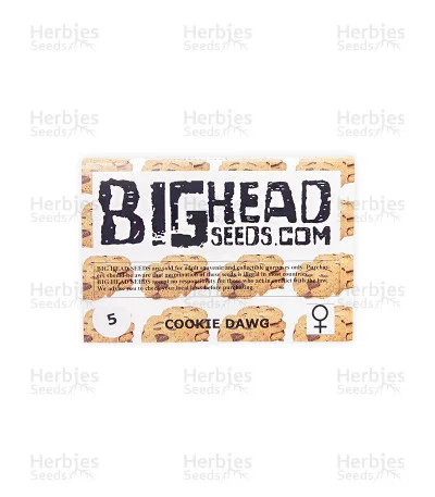 Cookie Dawg van Big Head Seeds