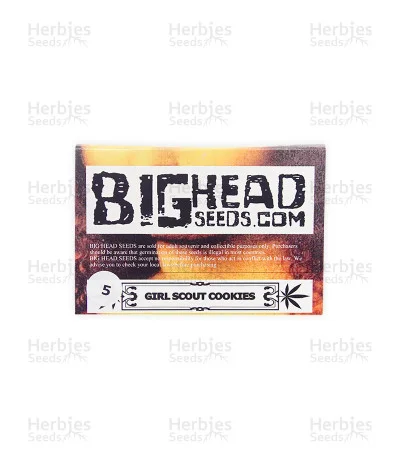 Girl Scout Cookies van Big Head Seeds